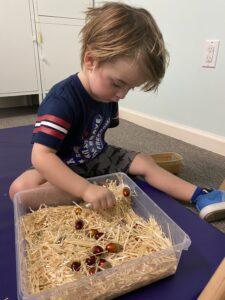 Child playing with sensory box filled with straw and grapes to work on fine motor skills and sensory play.